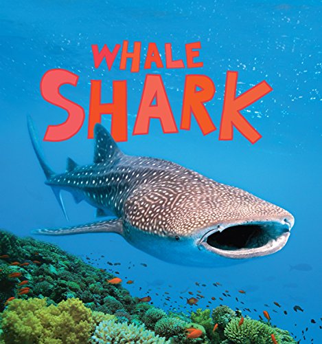 Beispielbild fr Whale Shark (Discover Sharks) zum Verkauf von WorldofBooks