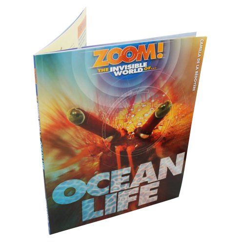 Stock image for Ocean Life - Zoom The Invisible World for sale by AwesomeBooks