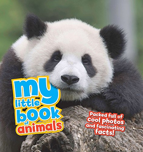 Stock image for Animals (My Little Book Of) for sale by WorldofBooks