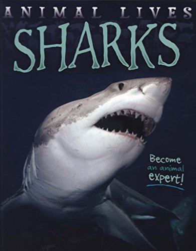 Beispielbild fr Sharks (Animal Lives) zum Verkauf von WorldofBooks