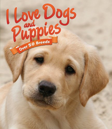 Stock image for I Love Dogs & Puppies for sale by WorldofBooks