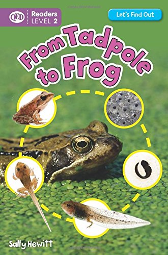 Stock image for Let's Find Out: Tadpole to Frog for sale by MusicMagpie