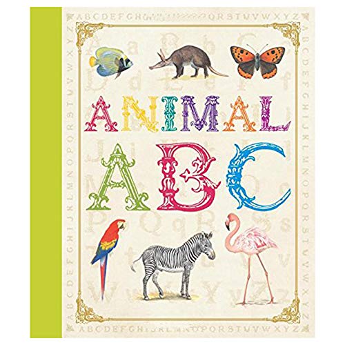 9781781716830: First Concept: Animal ABC