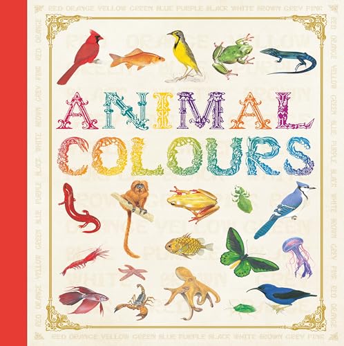 Stock image for Animal Colours for sale by Better World Books Ltd