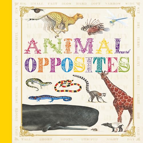 Stock image for First Concept: Animal Opposites for sale by WorldofBooks