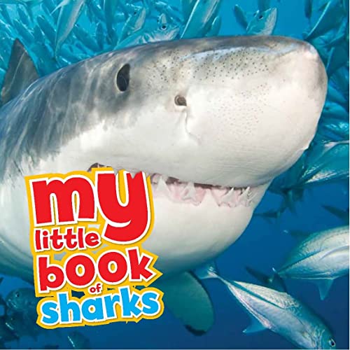 Stock image for My Little Book of. Sharks for sale by Discover Books