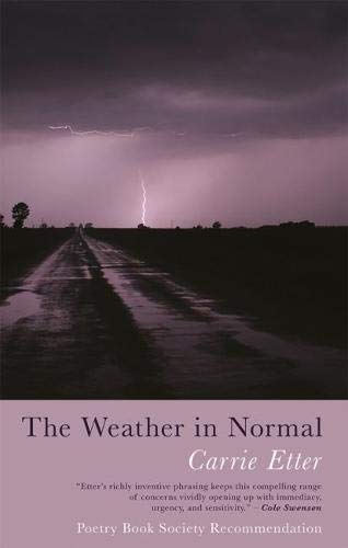 Beispielbild fr The Weather in Normal zum Verkauf von WorldofBooks