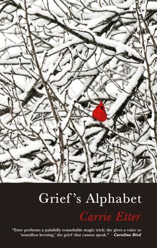 9781781727508: Grief's Alphabet