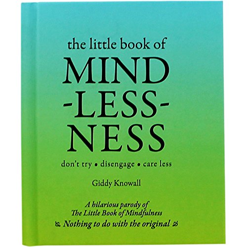 9781781772898: The Little Book Of Mindlessness