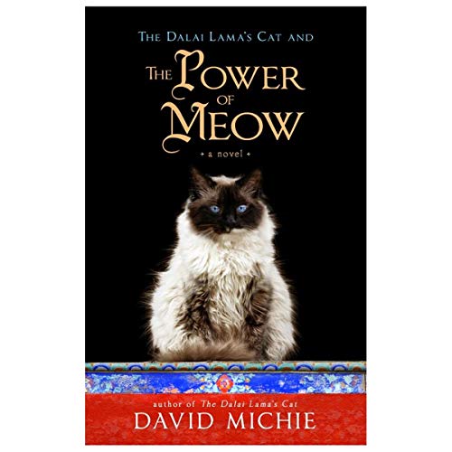 Beispielbild fr The Power of Meow zum Verkauf von WorldofBooks