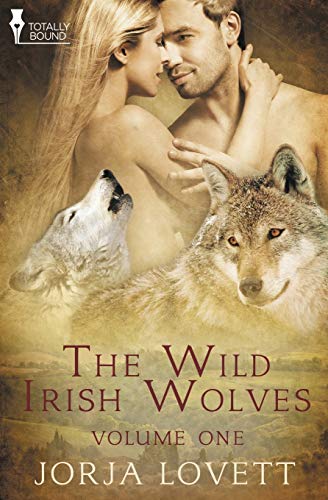 Beispielbild fr The Wild Irish Wolves: Vol 1 zum Verkauf von Chiron Media