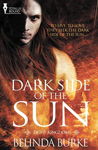 Imagen de archivo de Dark Side of the Sun (Eight Kingdoms) a la venta por Lucky's Textbooks
