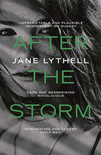 Beispielbild fr After the Storm zum Verkauf von Wonder Book