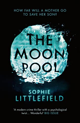 Beispielbild fr The Moon Pool zum Verkauf von AwesomeBooks