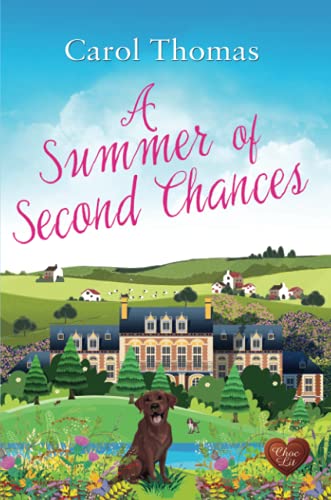 Beispielbild fr A Summer of Second Chances zum Verkauf von WorldofBooks