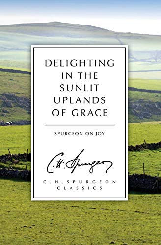 Stock image for Delighting in the Sunlit Uplands of Grace for sale by Blackwell's
