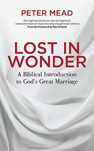 Beispielbild fr Lost in Wonder: A Biblical Introduction to God's Great Marriage (Grace Essentials) zum Verkauf von WorldofBooks
