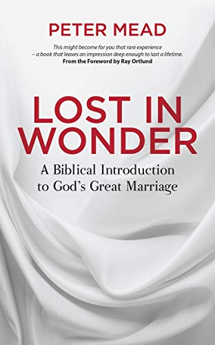 Stock image for Lost in Wonder: A Biblical Introduction to God's Great Marriage for sale by ThriftBooks-Dallas