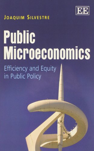 Stock image for Public Microeconomics for sale by Blackwell's