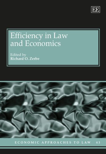 Imagen de archivo de Efficiency In Law And Economics (Hb 2014) a la venta por Basi6 International