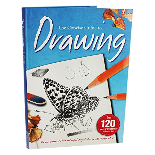 Imagen de archivo de Drawing (Deluxe Ultimate Guide) a la venta por dsmbooks