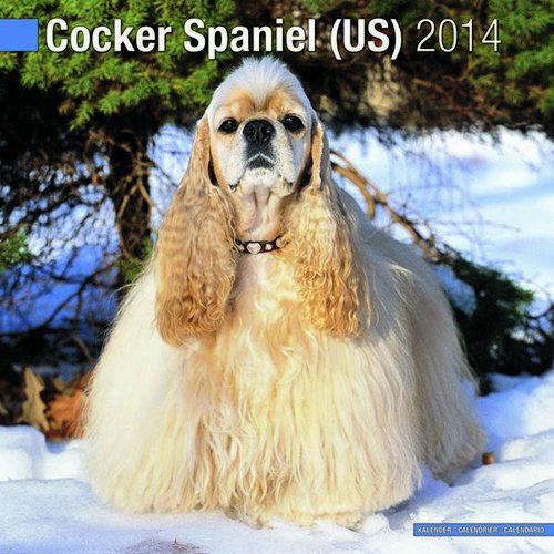 9781782080374: Cocker Spaniel (US) 2014