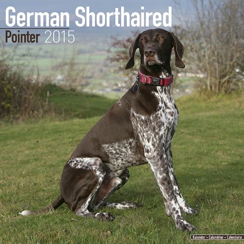 Beispielbild fr German Shorthaired Pointer 2015 zum Verkauf von medimops