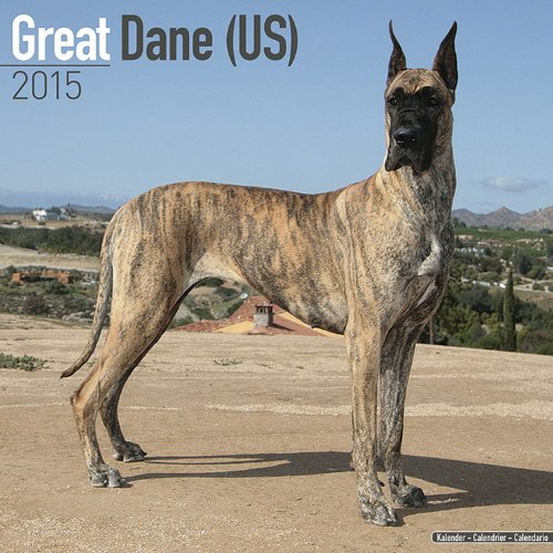 Stock image for Great Dane (US) 2015 for sale by medimops