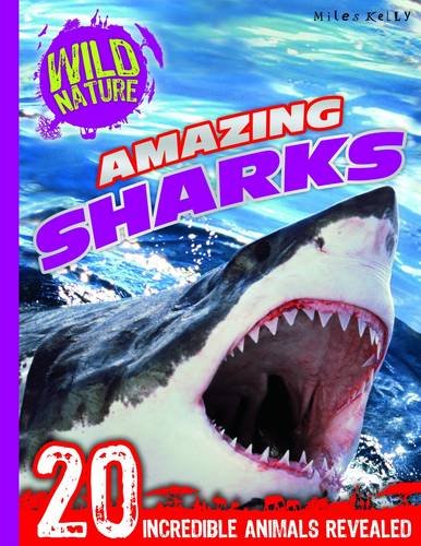 Stock image for Amazing Sharks : 20 Incredible Animals Revealed for sale by Better World Books