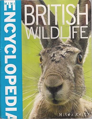 Imagen de archivo de Mini Encyclopedia - British Wildlife a la venta por PlumCircle