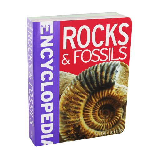 Stock image for Mini Encyclopedia - Rocks & Fossils for sale by Half Price Books Inc.