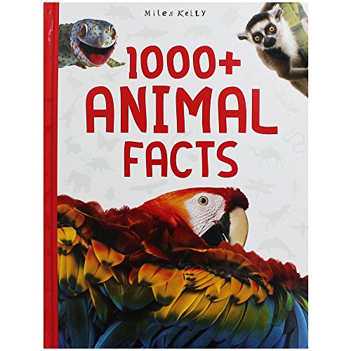 Stock image for 1000+ Animal Facts (1000 + Facts) for sale by Bahamut Media