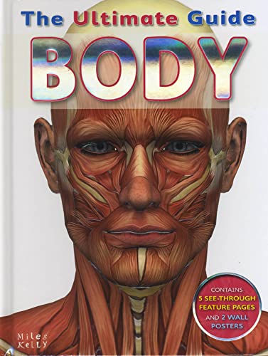 Beispielbild fr Body (Ultimate Guide) zum Verkauf von WorldofBooks