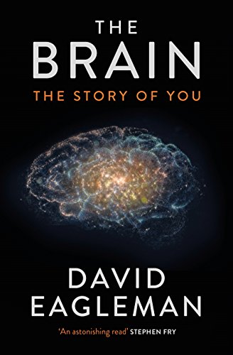 Beispielbild fr The Brain: The Story of You zum Verkauf von WorldofBooks