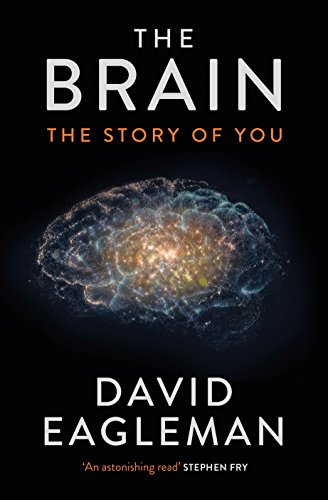 Stock image for The Brain: The Story of You for sale by WorldofBooks