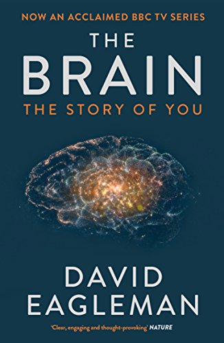 Beispielbild fr The Brain: The Story of You zum Verkauf von WorldofBooks