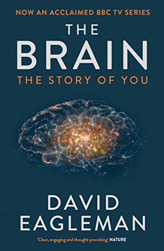 Imagen de archivo de The Brain: The Story of You a la venta por WorldofBooks