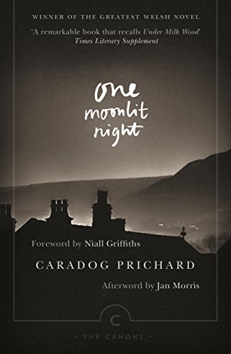 Imagen de archivo de One Moonlit Night a la venta por Russell Books