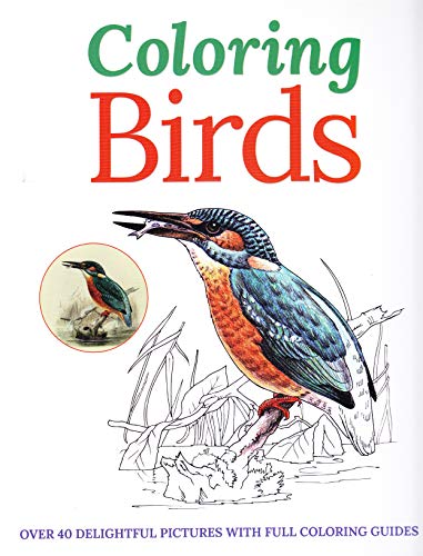 9781782128717: Coloring Birds Adult Coloring Book: Over 40 Delightful Pictures With Full Coloring Guides