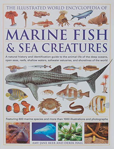 Stock image for ILLUSTRATED WORLD ENCYCLOPEDIA OF MARINE FISH for sale by Bibliophile