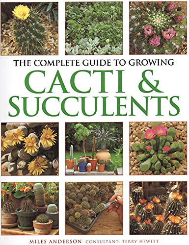 Imagen de archivo de Anness: Complete Guide to Growing Cacti & Succulents a la venta por ThriftBooks-Atlanta