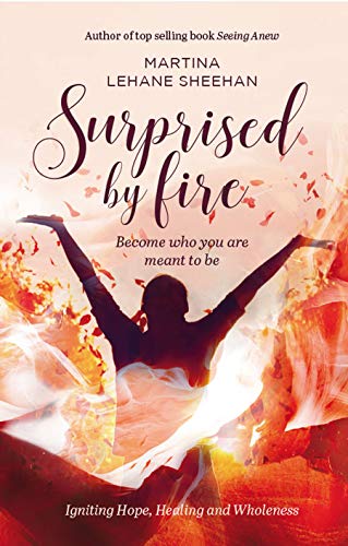 Beispielbild fr Surprised by Fire: Become who you are meant to be zum Verkauf von WorldofBooks