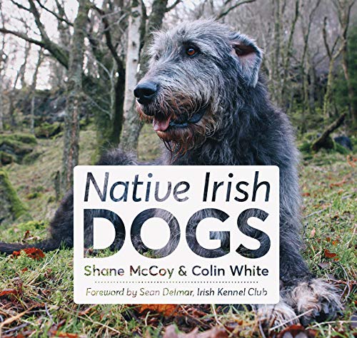 Stock image for Native Irish Dogs for sale by WorldofBooks