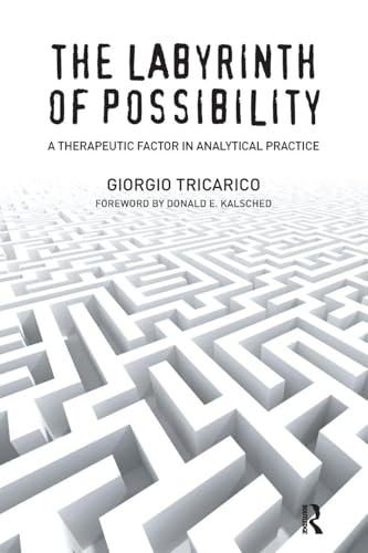 9781782201762: The Labyrinth of Possibility: A Therapeutic Factor in Analytical Practice