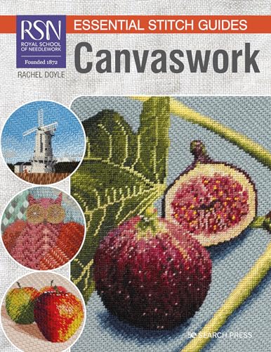 Stock image for RSN Essential Stitch Guides: Canvaswork for sale by Better World Books