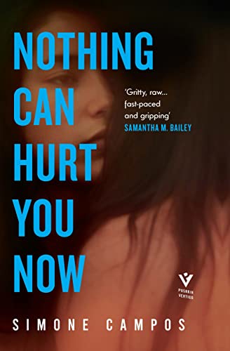Imagen de archivo de Nothing Can Hurt You Now: an unapologetically feminist thriller about a kidnapped sex worker a la venta por WorldofBooks