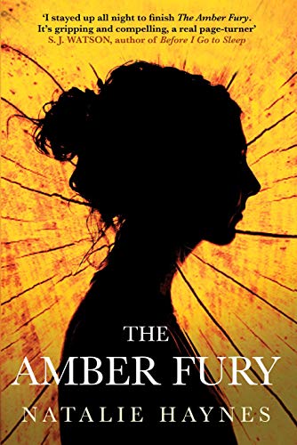 Stock image for The Amber Fury for sale by HPB-Emerald