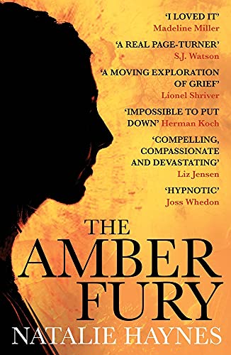 Stock image for The Amber Fury for sale by AwesomeBooks