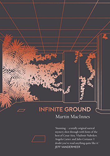 Stock image for Infinite Ground for sale by WorldofBooks