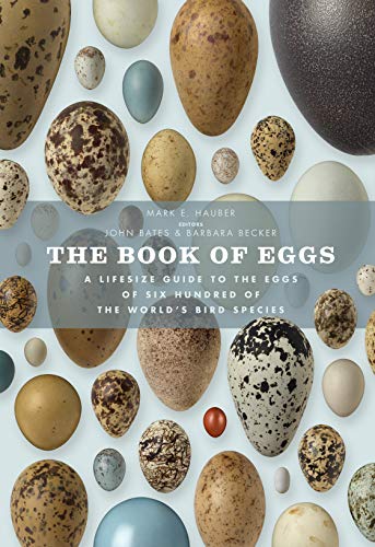 9781782400479: Book of Eggs A life-size guide to the eggs of six hundred of the world's bird species /anglais